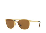 Mens Signet Sunglasses (RB3429) Metal 58mm.