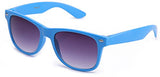80's Classic Blue Brothers Horn Rimmed Style Vintage Retro Wayfarer Sunglasses