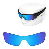 Replacement Sunglass Lenses for Oakley Batwolf