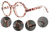 Vintage Round Glasses Frame Inspired Eyeglasses Circle Clear Lens