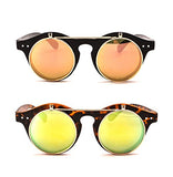 Classic Small Retro Steampunk Circle Flip Up Glasses/Sunglasses Cool Retro New Model