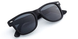 Classic Polarized Sunglasses