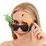 Crazy Party Costume Glasses Vacation Luau Spring Break