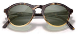 Singlefin Polarized Sunglasses