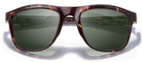 Navarro Polarized Sunglasses