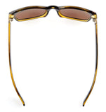 Classic Bifocal Sunglasses Brown Lens +1.0