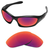Performance Replacement Lenses for Oakley Monster Dog Sunglass Polarized Etched