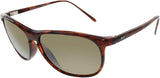 Mens Voyager Sunglasses (178) Plastic