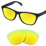 Performance Replacement Lenses for Oakley Frogskins Sunglass Polarized Etched