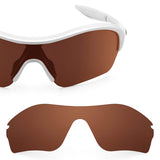 Replacement Lenses for Oakley Enduring Edge