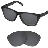 Performance Replacement Lenses for Oakley Frogskins Sunglass Polarized Etched