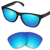 Performance Replacement Lenses for Oakley Frogskins Sunglass Polarized Etched