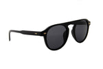 - Classic Round Retro Gold Accents Sunglasses