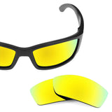 Replacement Lenses for Costa Corbina