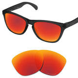 Performance Replacement Lenses for Oakley Frogskins Sunglass Polarized Etched
