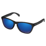 Performance Replacement Lenses for Oakley Frogskins Sunglass Polarized Etched