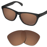 Performance Replacement Lenses for Oakley Frogskins Sunglass Polarized Etched