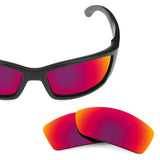 Replacement Lenses for Costa Corbina
