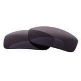 Replacement Lenses for RayBan Predator 2 RB2027 (62mm) - Multiple Colors