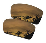 Men's Replacement Lenses for Oakley Gascan Sunglass - 12 Options
