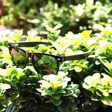 ROLLS PULIN Walnut Wood Wayfarer Sunglasses with Black Polarized Lenses UV 400 for Men or Women