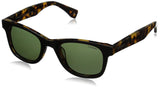 PLD1002S Polarized Wayfarer Sunglasses
