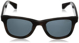 PLD1002S Polarized Wayfarer Sunglasses