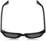 PLD1002S Polarized Wayfarer Sunglasses