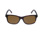VL1303 Sunglasses