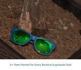 Wooden Sunglasses Skateboard Design - Shades That Float